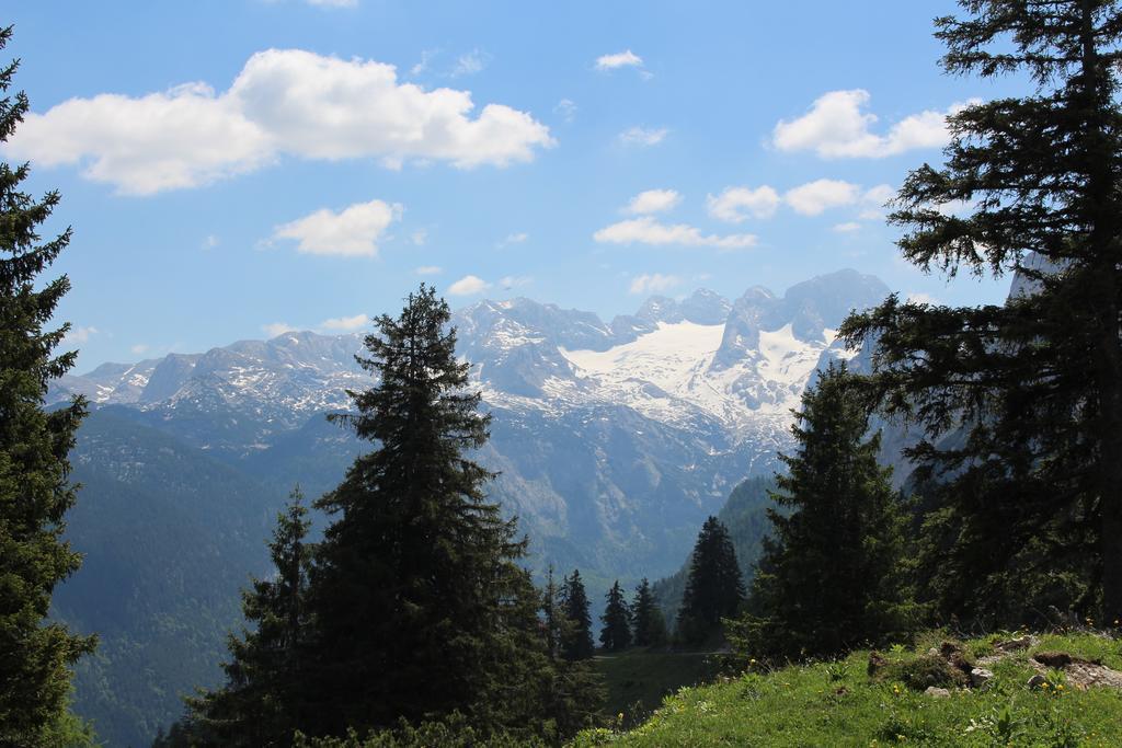 Salzburger Dolomitenhof Annaberg im Lammertal Eksteriør bilde