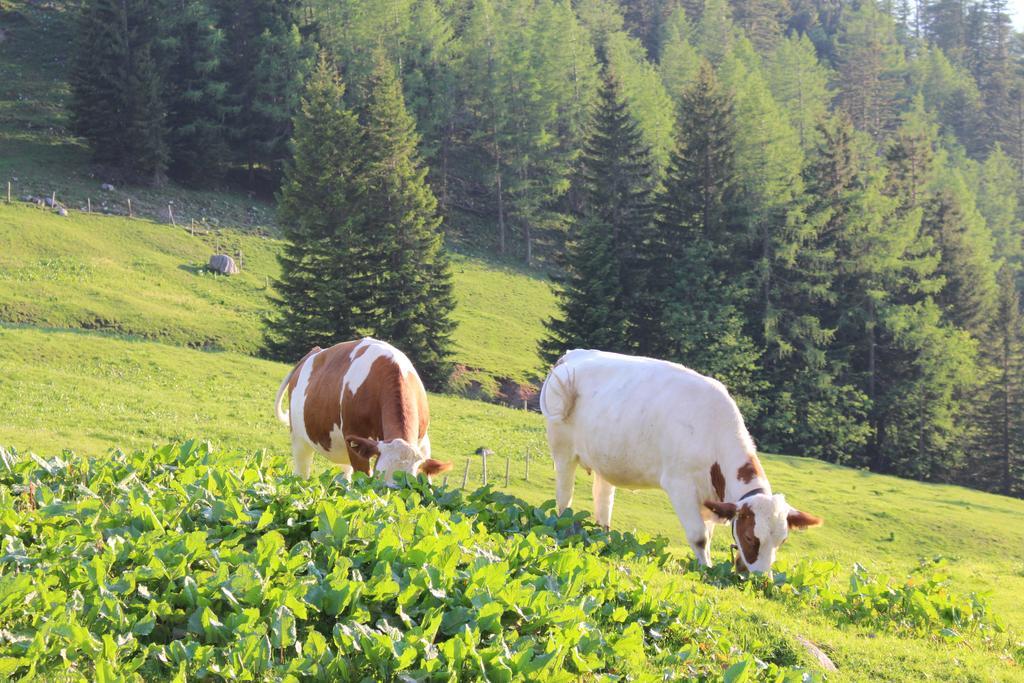 Salzburger Dolomitenhof Annaberg im Lammertal Eksteriør bilde
