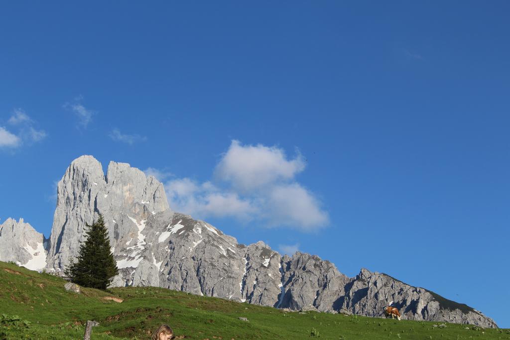 Salzburger Dolomitenhof Annaberg im Lammertal Eksteriør bilde