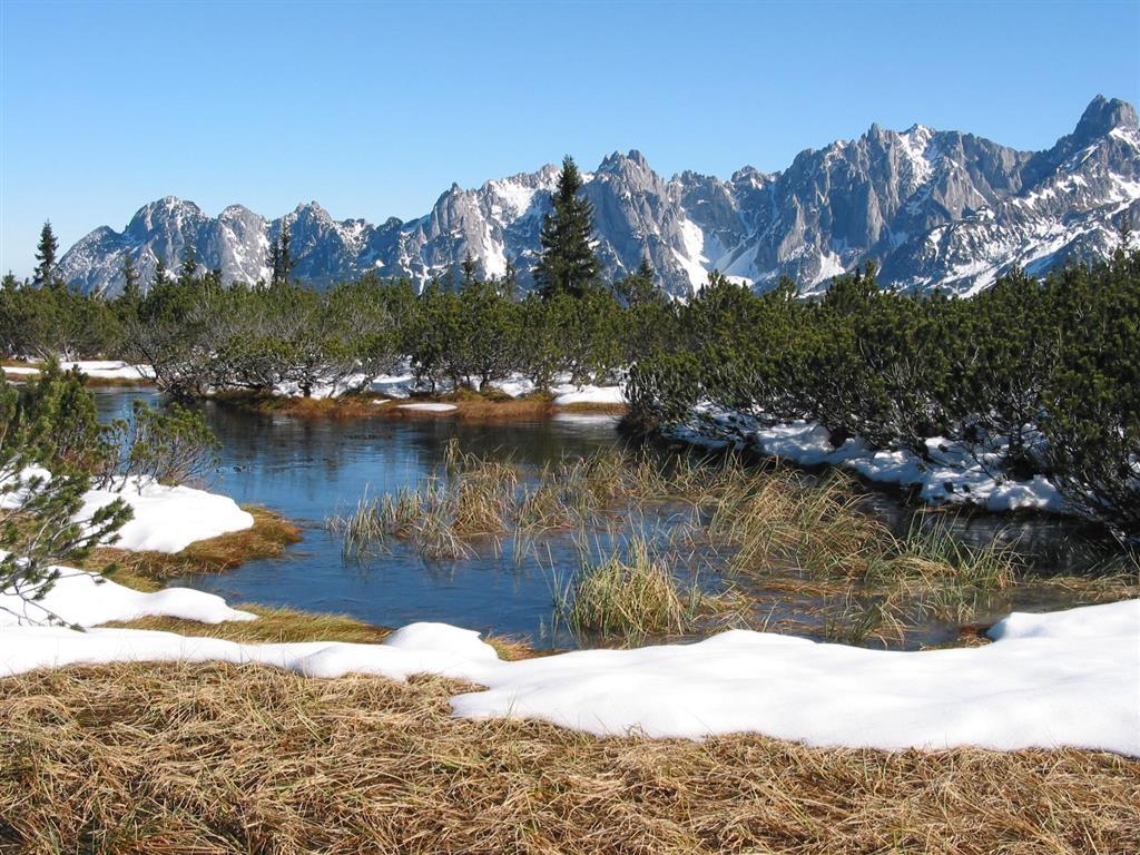 Salzburger Dolomitenhof Annaberg im Lammertal Eksteriør bilde