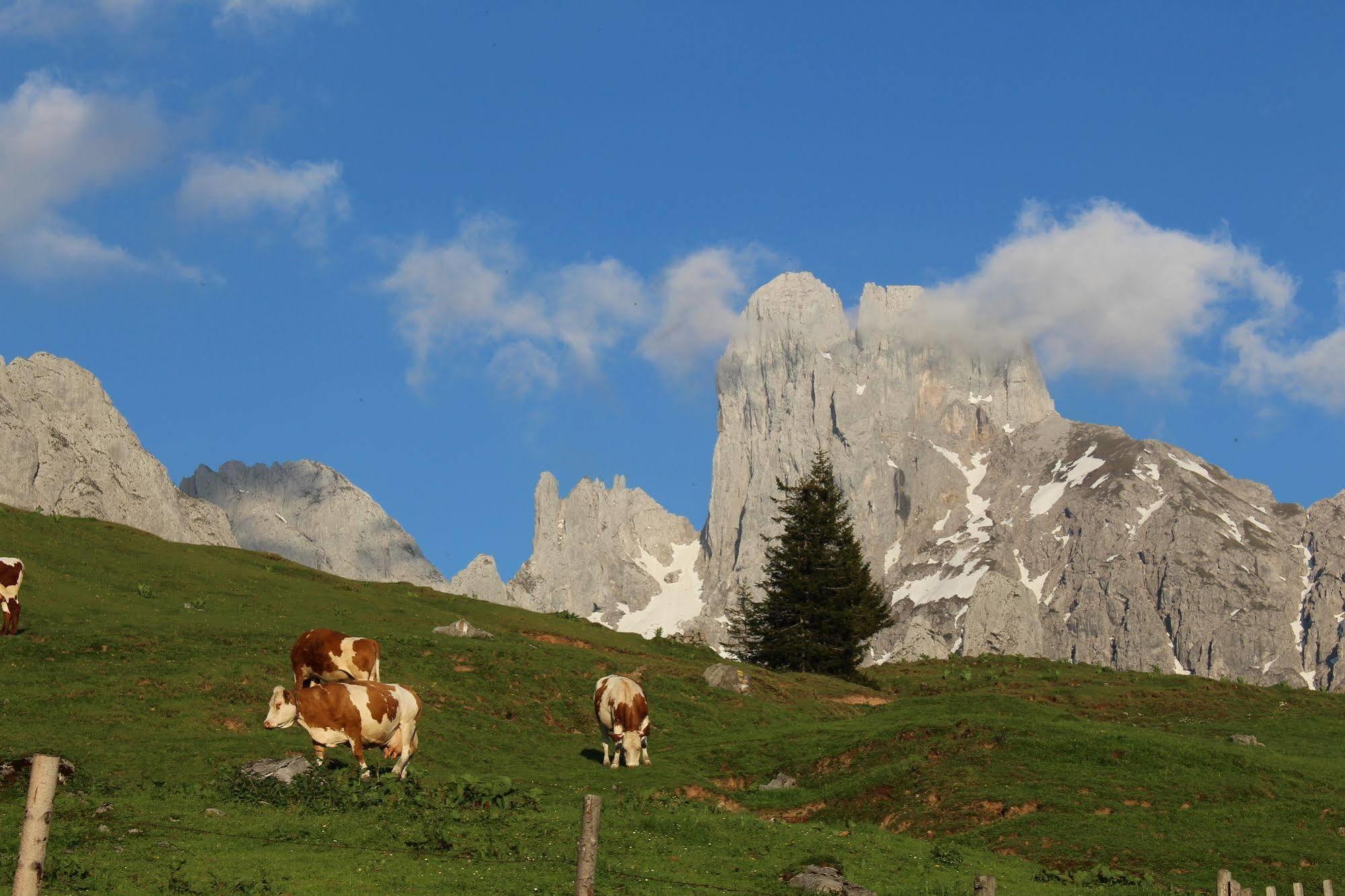 Salzburger Dolomitenhof Annaberg im Lammertal Eksteriør bilde